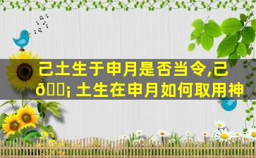 己土生于申月是否当令,己 🐡 土生在申月如何取用神